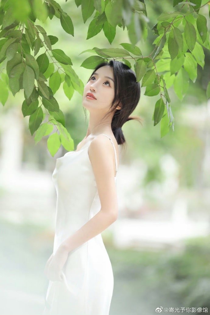霸王别姬 封面